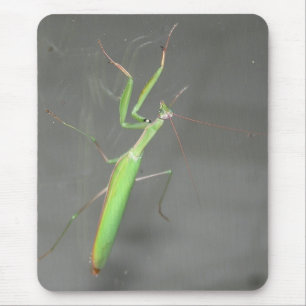 Praying Mantis Mousepad Plus
