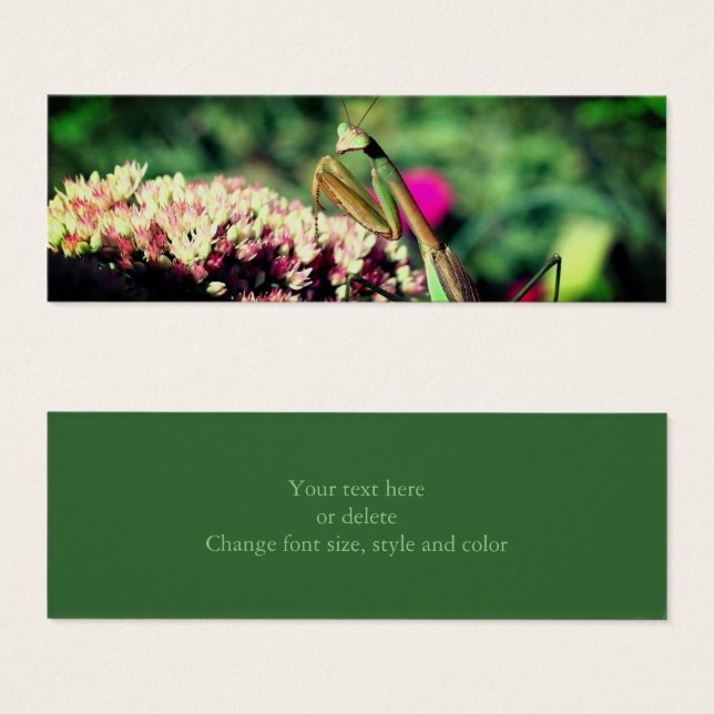 Praying Mantis Nature Mini Bookmark (Front & Back)