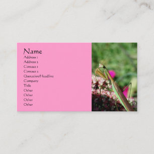 Praying Mantis Nature Photography Business Card
