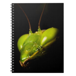 Praying mantis notebook