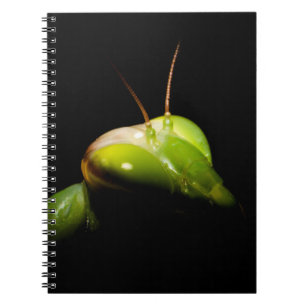 Praying mantis notebook