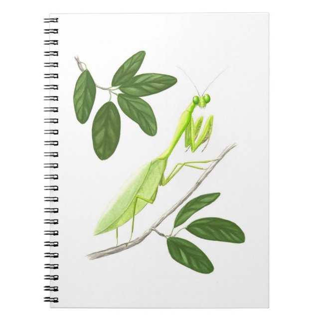 Praying Mantis Notebook (Front)