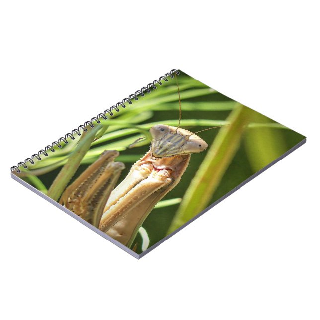 Praying Mantis Notebook (Left Side)