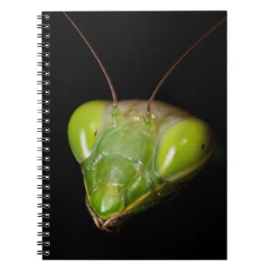 Praying mantis notebook