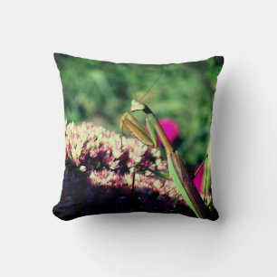 Praying Mantis On Sedum Flower Close Up Cushion