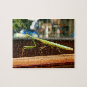 Praying Mantis Photo Puzzle with Gift Box