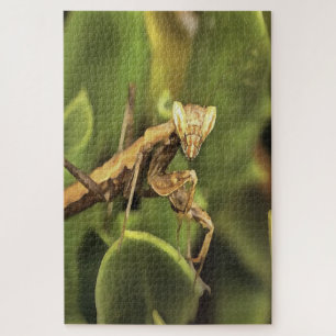 Praying Mantis Portrait Insect Art  Jigsaw Puzzle