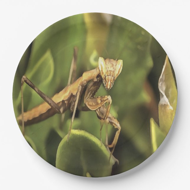 Praying Mantis Portrait Insect Art  Paper Plate (Front)