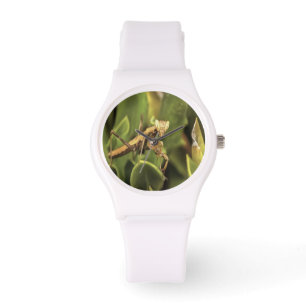 Praying Mantis Portrait Insect Art Watch