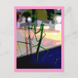 Praying Mantis Postcard