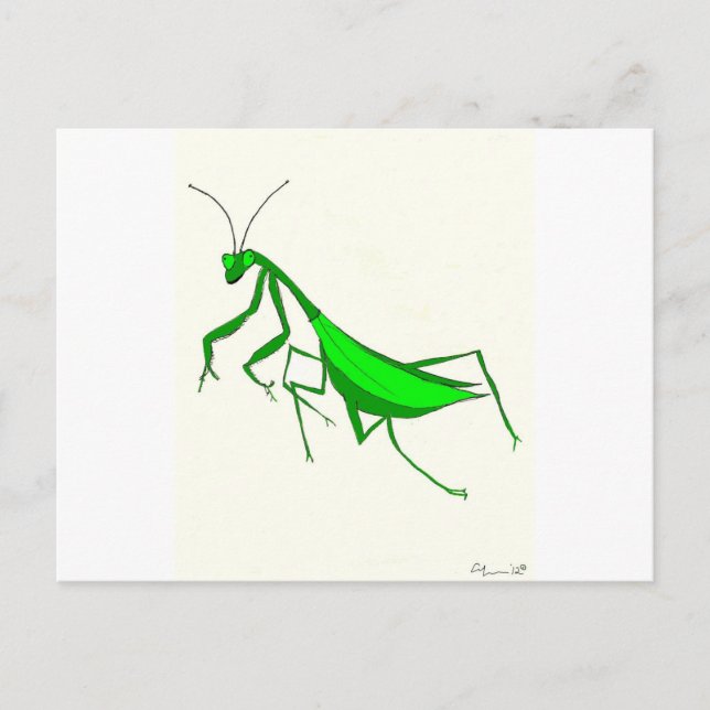 Praying Mantis Products Postcard (Front)