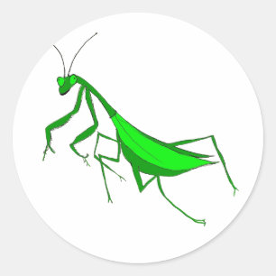 Praying Mantis Round Stickers