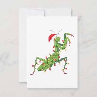 Praying Mantis Santa Hat Bug Collector Holiday Card
