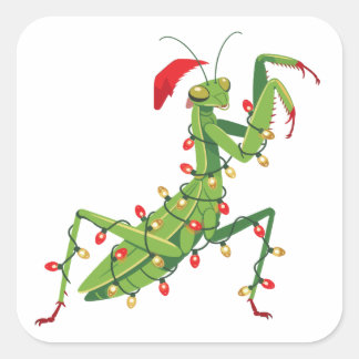 Praying Mantis Santa Hat Bug Collector Holiday Square Sticker