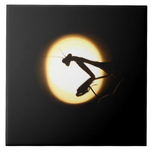 Praying Mantis Silhouette Tile
