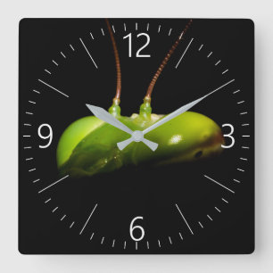 Praying mantis square wall clock