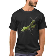 praying mantis