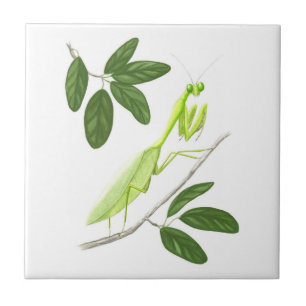 Praying Mantis Tile