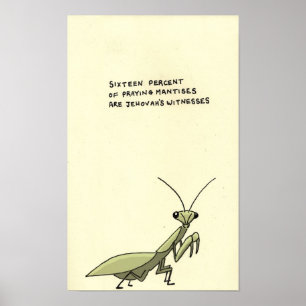 praying mantis trivia poster