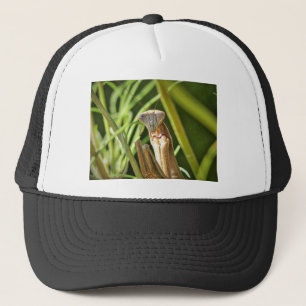Praying Mantis Trucker Hat