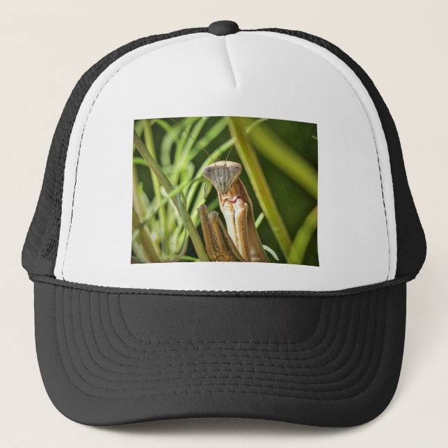 Praying Mantis Trucker Hat (Front)