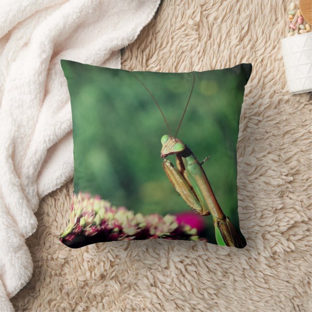 Praying Mantis Up Close   Cushion (Blanket)