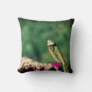 Praying Mantis Up Close Cushion