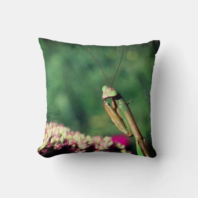 Praying Mantis Up Close   Cushion (Front)