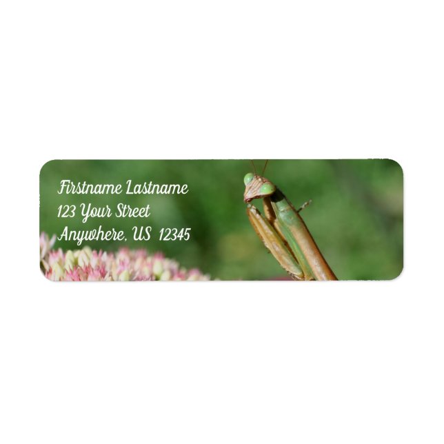Praying Mantis Up Close Nature Address Return Address Label (Front)