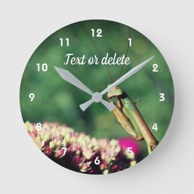 Praying Mantis Up Close Personalised Round Clock (Front)