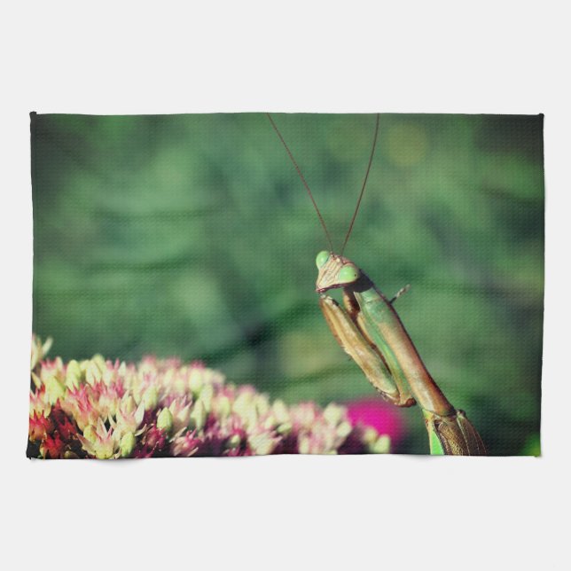 Praying Mantis Up Close   Tea Towel (Horizontal)