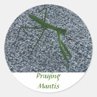 Praying Mantis Walking on Sidewalk Insect Stickers