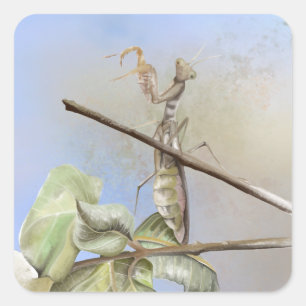 Praying Mantis watercolor Square Sticker