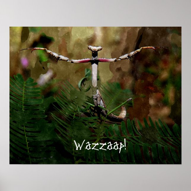 Praying Mantis Wazzaap! Poster (Front)