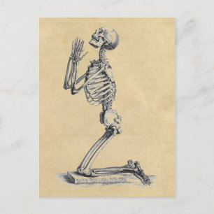Praying Skeleton Anatomy of the Bones Postcard