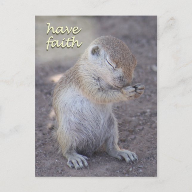 Praying Squirrel Post Card (Front)