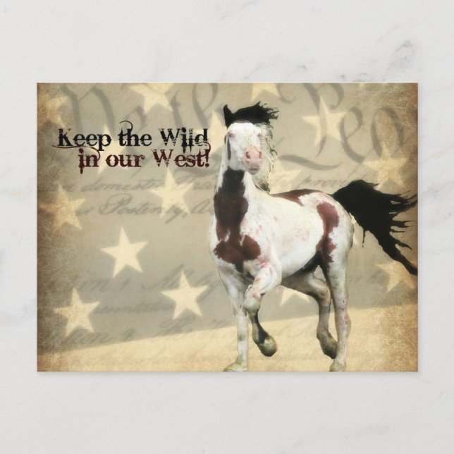 Pre-Addressed Postcard to the Dept of the Interior (Front)