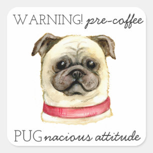 Pre Coffee Pugnacious Attitude with Pug Square Sticker