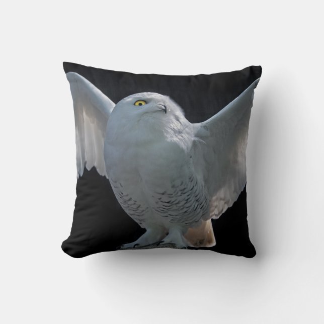 Pre-Flight Check Pillow (Front)