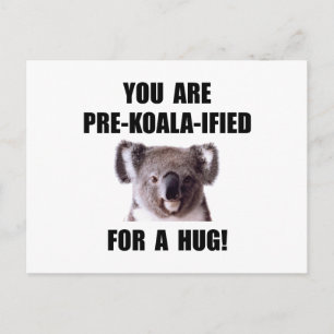 Pre Koala Qualified Hug Postcard