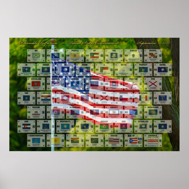 Preamble Perfection - U.S. Constitution Poster (Front)