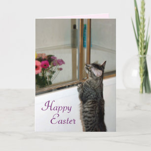 Precious and Beautiful Kitten Easter Card