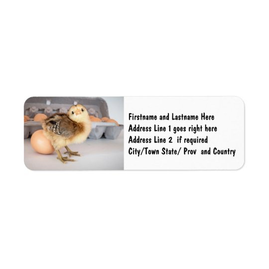 Precious Baby Chick and Eggs Return Address Label