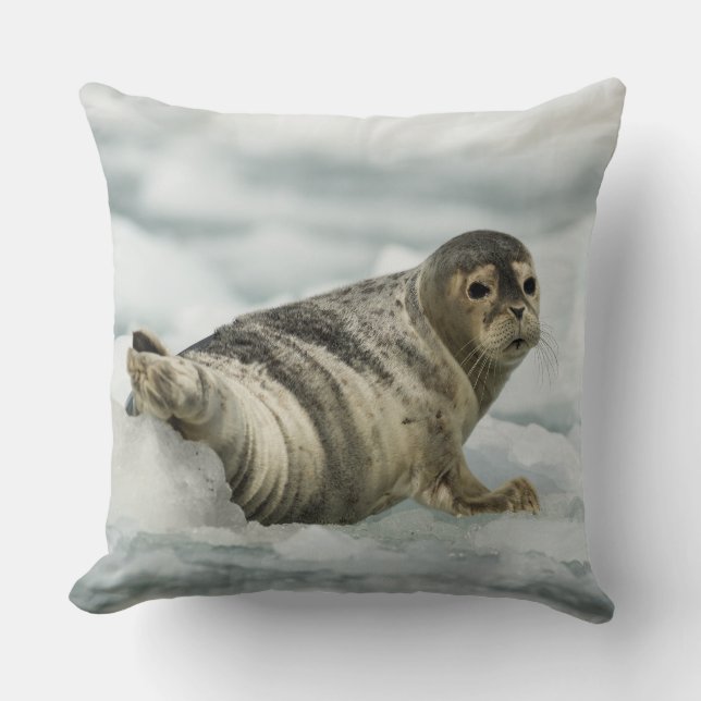 Precious Baby Seal Cushion (Front)