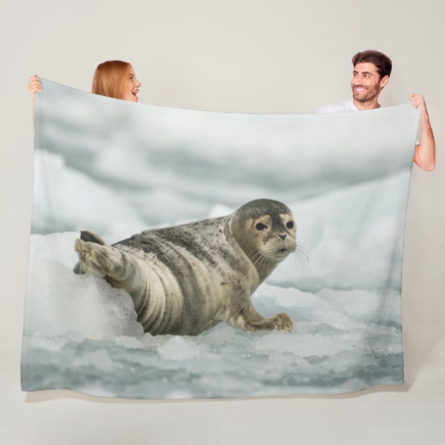 Precious Baby Seal Fleece Blanket (In Situ)