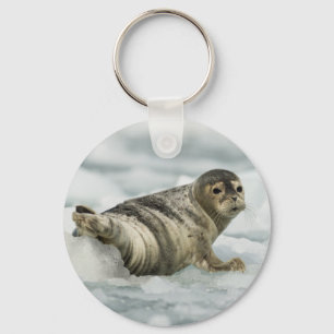 Precious Baby Seal Key Ring