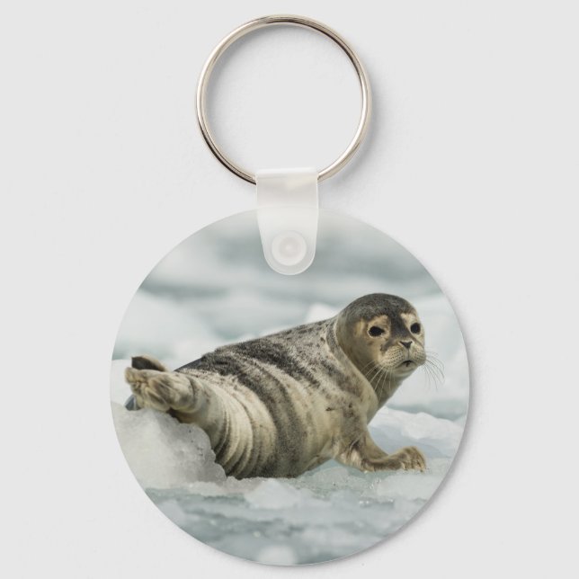 Precious Baby Seal Key Ring (Front)