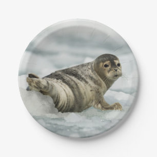 Precious Baby Seal Paper Plate