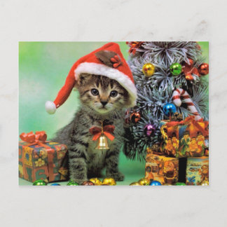 Precious Christmas Cat Holiday Postcard