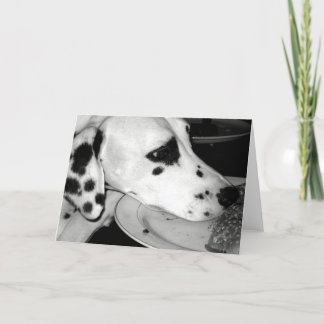 Precious Dalmation Card